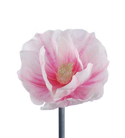 <h4>Stem Magnolia Bloom L30w30h35</h4>
