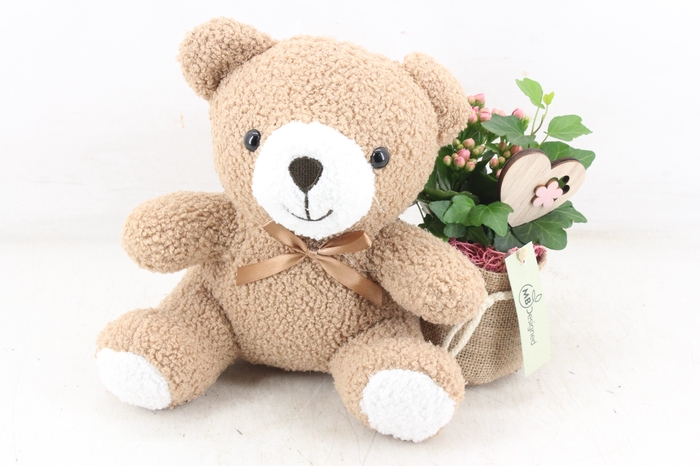 <h4>arr2 MB - Knuffel teddy beer L x6 - roze</h4>
