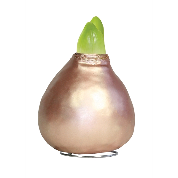 <h4>Amaryllis TOW Celebration Pearl Rose-Gold, 6x1, rode bloem, Tray236</h4>