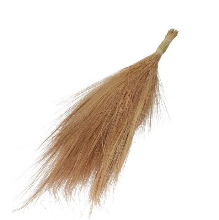 <h4>Dried flowers Goat grass 65-70cm</h4>