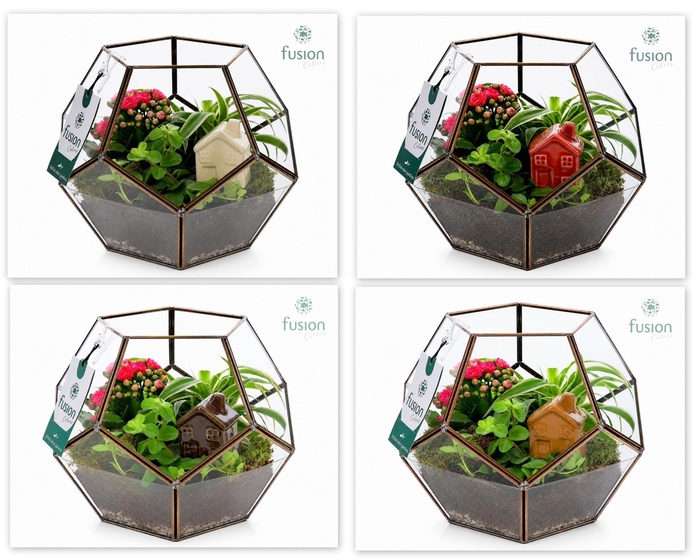 <h4>Geometrisch planter Large met arrangement</h4>