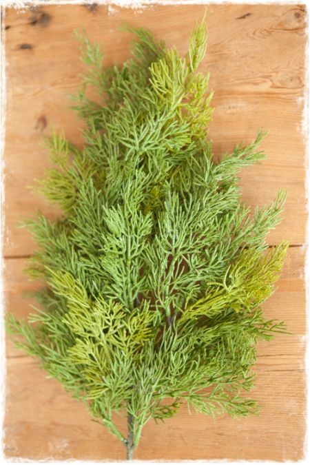 CONIFEER GEEL-GROEN 5KG