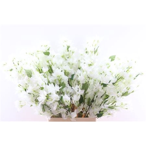 SILK BOUGAINVILLE WHITE 105CM P STE