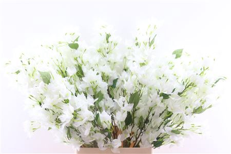 <h4>SILK BOUGAINVILLE WHITE 105CM P STE</h4>
