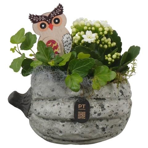<h4>PTHI3261 Arrangement Autumn Indoor in beton pot</h4>