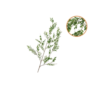 Silk Leaf Branch Green 140cm Nm