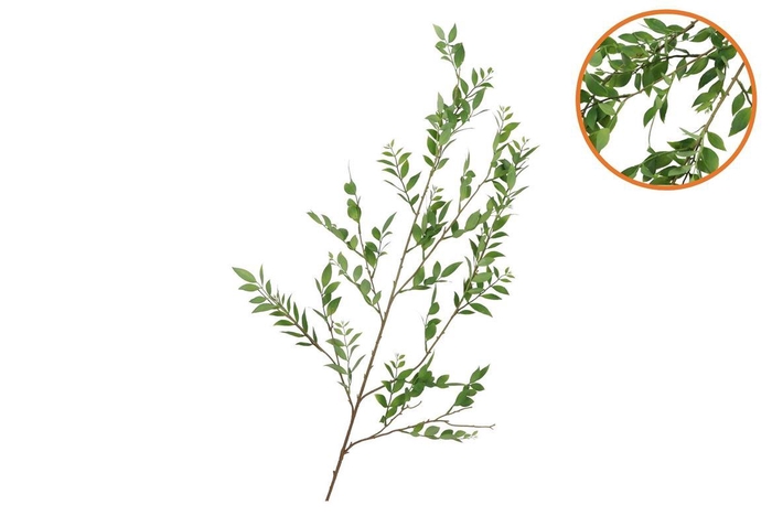 <h4>Silk Leaf Branch Green 140cm Nm</h4>