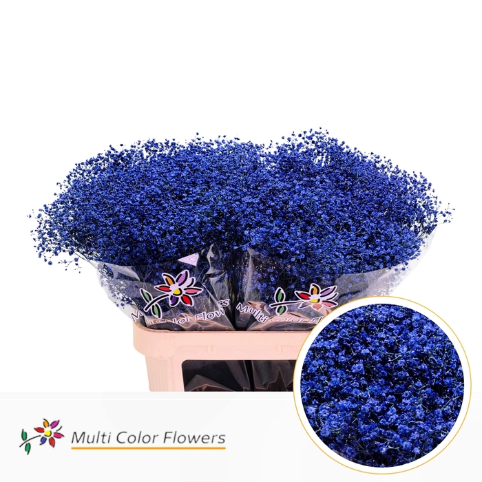 <h4>Gyps Fijn Blauw donker</h4>