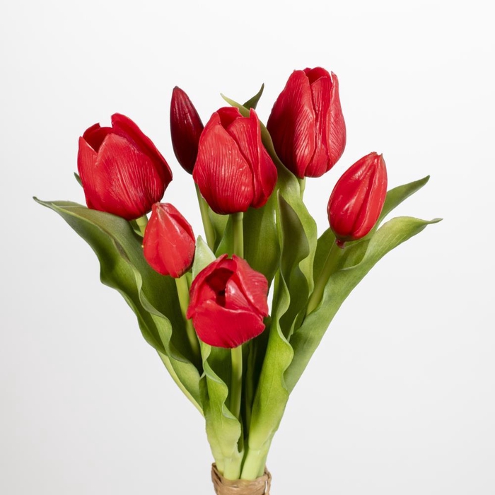 AF Tulip bundle x7 L30cm red