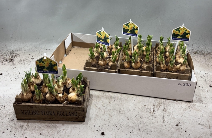 <h4>ARR N TETE A TETE</h4>