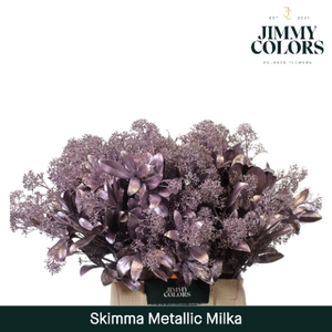 Skimmia Per Bos L45 Mtlc. Milka + Glitter