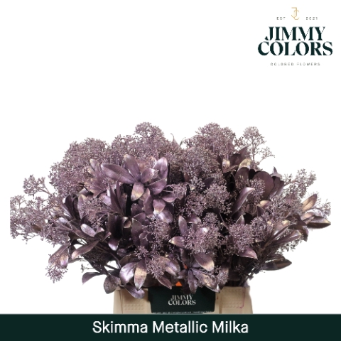<h4>Skimmia Per Bos L45 Mtlc. Milka + Glitter</h4>