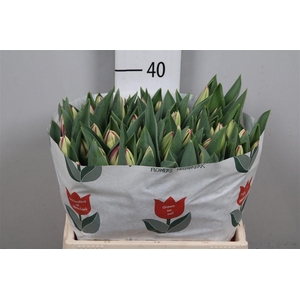 Tu En Touch Of Flame Smelled