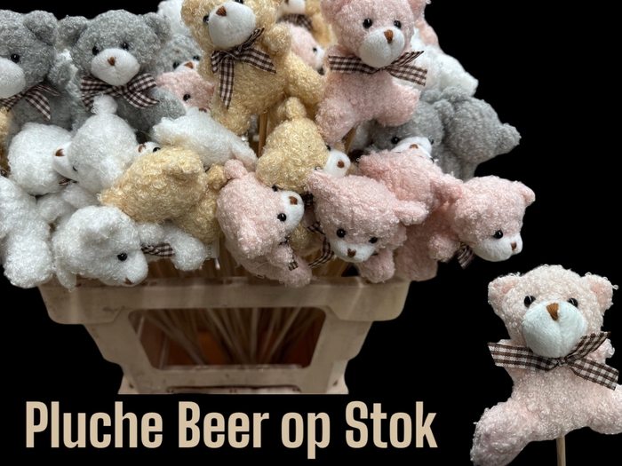 <h4>HUIS EN TUINDECO H%</h4>