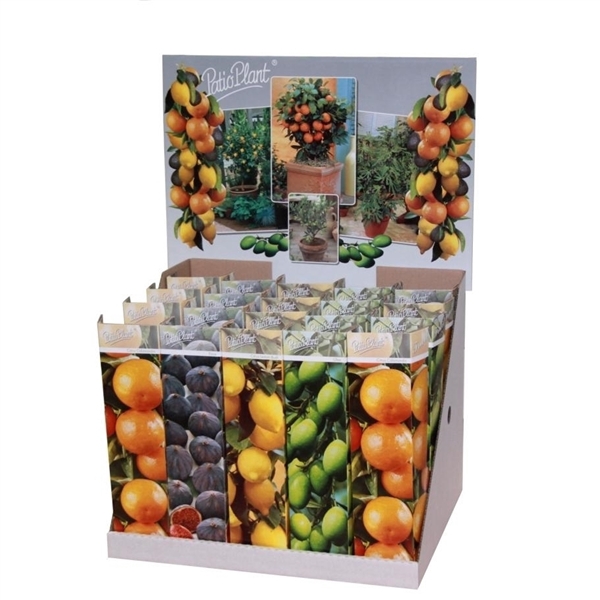 <h4>Citrus mix</h4>