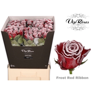 R GR FROST RED RIBBON