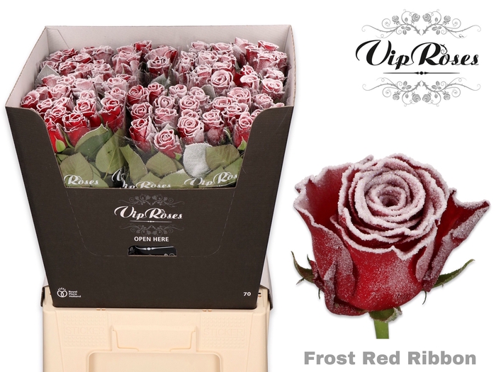 R GR FROST RED RIBBON