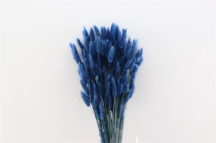 <h4>Dried Lagurus Dark Blue Bunch</h4>