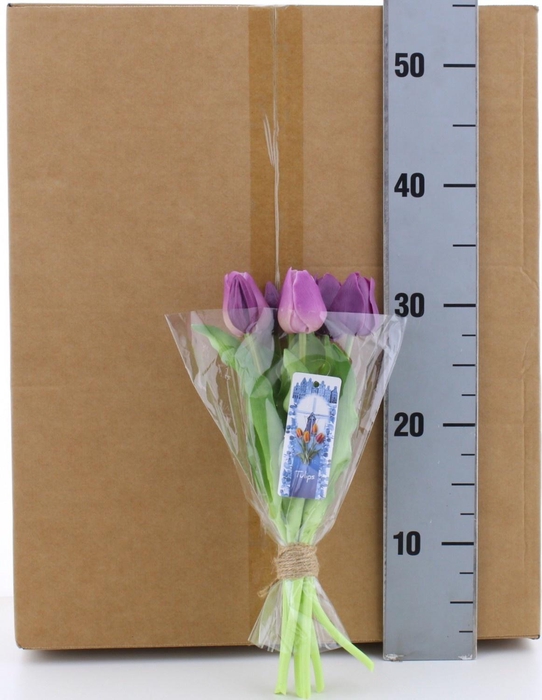 <h4>HUIS EN TUINDECO H%</h4>