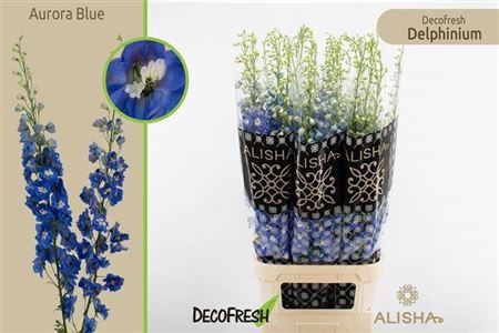 <h4>Delph Du Aurora Blue</h4>
