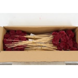 Stick Ball Fluffy Ø6 Bordeaux