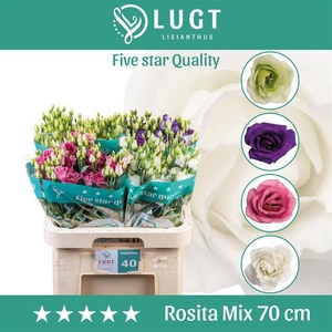 Eust Mix Dubbel Lang 992