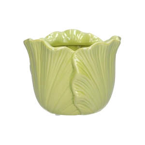DF03-740101237 - Pot Blush d13.9xh10.9 green