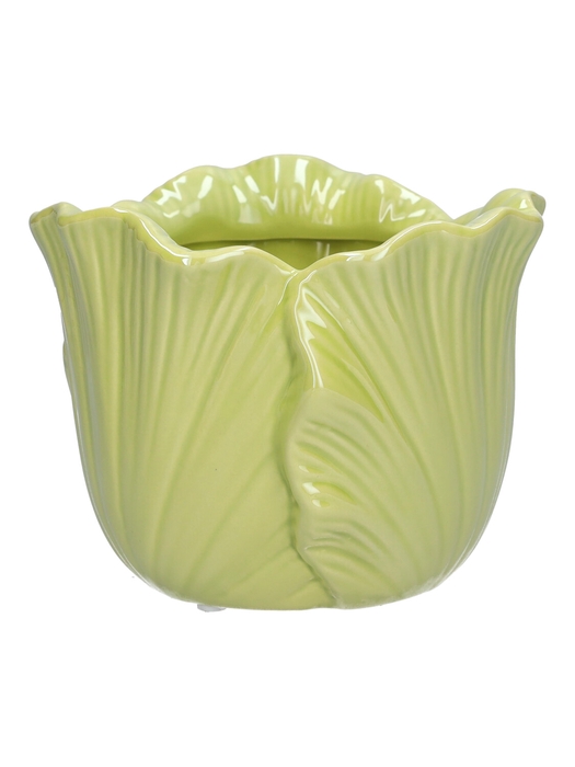 <h4>DF03-740101237 - Pot Blush d13.9xh10.9 green</h4>