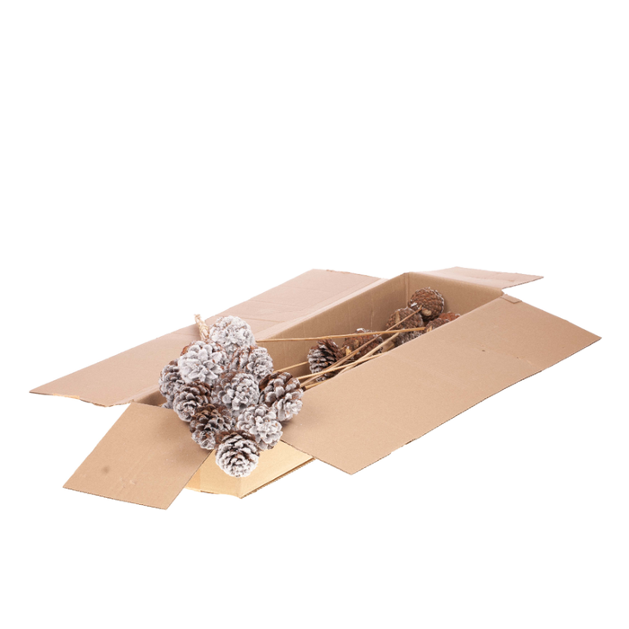 <h4>Pine C 5-7 O/s Sb Hvy Snw</h4>