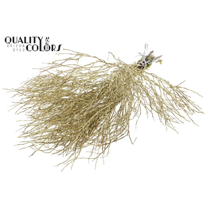 <h4>Huckelberry per bunch Gold</h4>