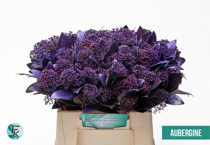 <h4>SKIM OV BS KLB H%</h4>