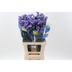 Lim S Crystal Sky Blue