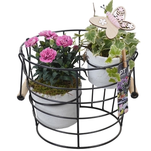 PTPP6924 Arrangement Patio in terracotta pot met metaal