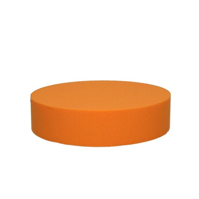 <h4>Oasis Kleur Cake d20*5cm</h4>