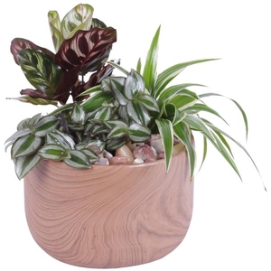 Yearround Arr. Indoor Ceramic Naturel Touch N565 Ø17cm 3PP