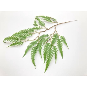 Fern Leaves L70