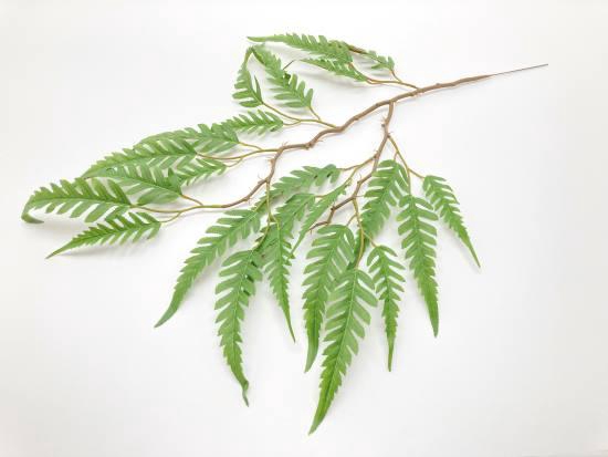 Fern Leaves L70