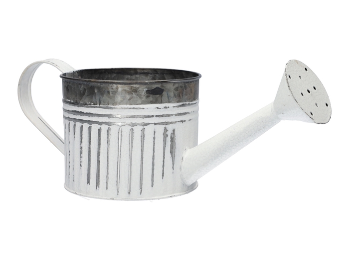 <h4>DF04-666775800 - Wateringcan Zelta d13/32xh10.5 white</h4>