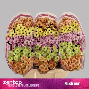CHR S GEM BLUSH