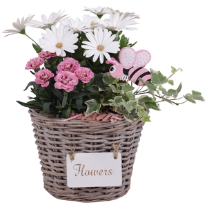 Spring Flower Arr. Outdoor Willow Basket Flowersign Ø20cm 3PP