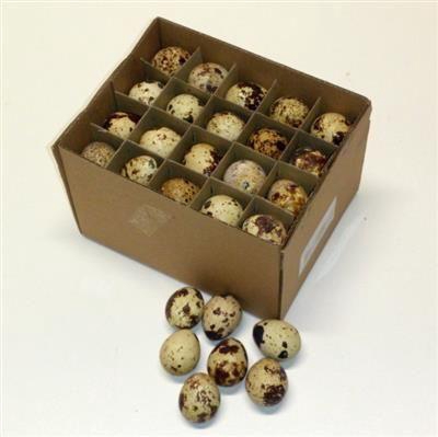 <h4>EI KWARTEL X60 DOOSJE PER COLLI</h4>