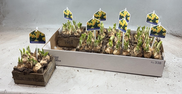 <h4>ARR N TETE A TETE</h4>