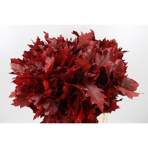 Eik Grof Rood