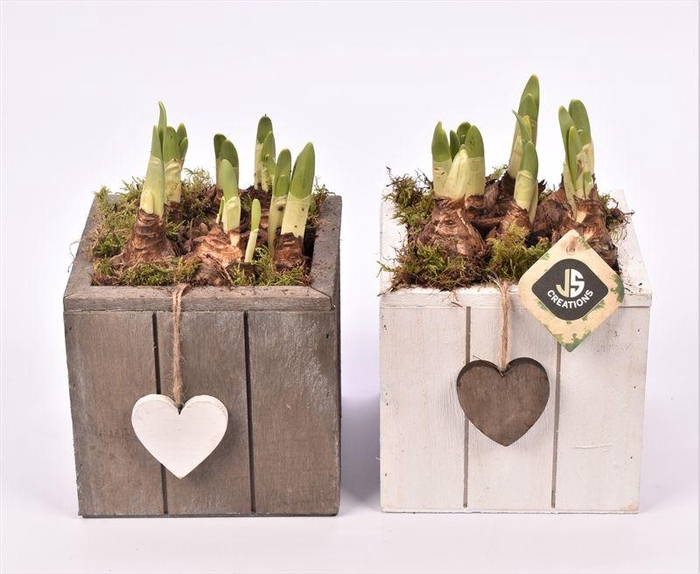 <h4>Hout vierkant hart gr/wit 15x15cm</h4>