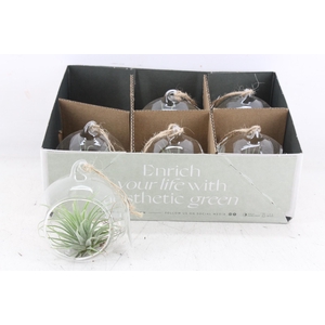 arr3 CP - Mini glas bol x6