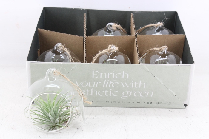 <h4>arr3 CP - Mini glas bol x6</h4>