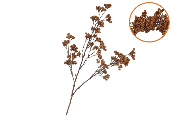 <h4>Silk Berry Spice Dark Brown 108cm Nm</h4>