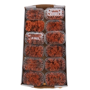 MOSSEN OV H%