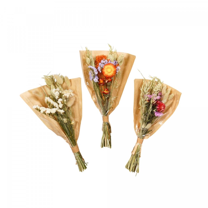 <h4>Droogbloem Boeket Field mix 32cm</h4>
