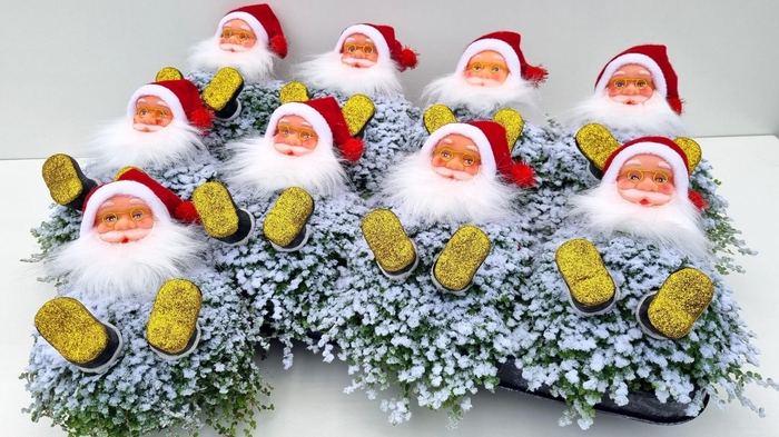 <h4>SOLEI SOL GROEN</h4>